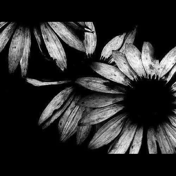 Meet your Posher, Monica - Picture 1 of 1